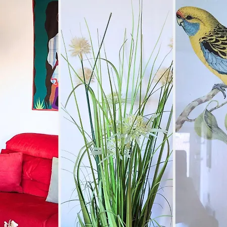 Nestor&jeeves - La Nissarde Terrasse - Center * Νίκαια